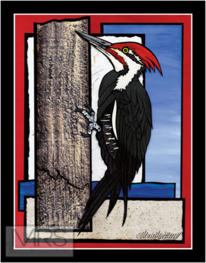 woodpecker