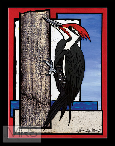 woodpecker