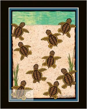 Baby Turtles